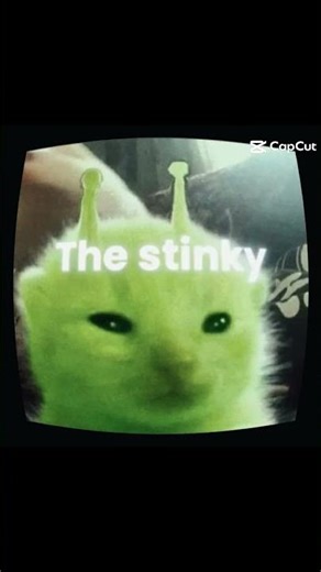 aliencat #cats#memes #catmemes