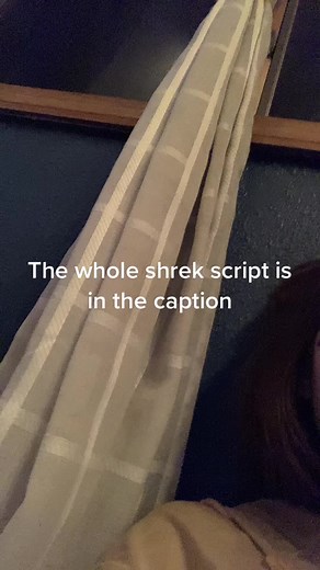 Shrek the Ogre's Unlikely Friendship with Donkey