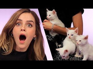 Emma Watson Plays With Kittens - While Answering Fan Questions
