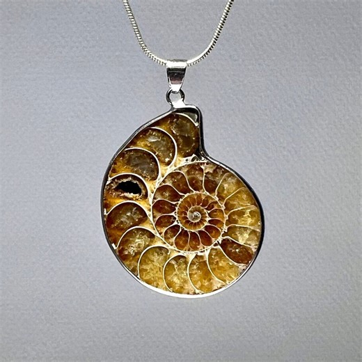 Ammonite Pendant Necklace: Nautilus Fossil Pendant With Chain - Etsy
