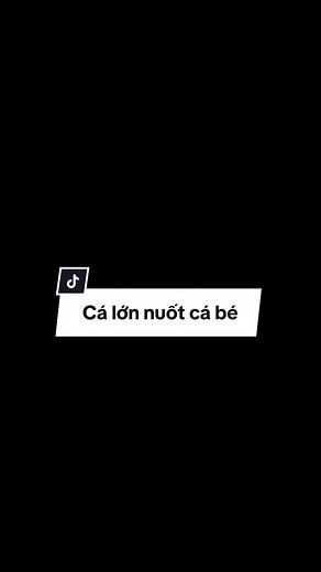 Cá lớn nuốt cá bé: Cuộc sống và sự công bằng