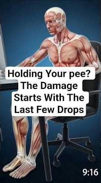 Holding Your Pee? The Damage Starts with the Last Few Drops (3D Anatomy)