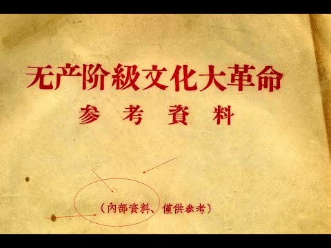 最高水准的关于文革的纪录片 凤凰卫视陈晓楠制作的《文化大革命纪实录像》 客观公正和公允，完整记录【下方有《文革内部历史资料》PDF电子书获取】#文革 #文化大革命 #红卫兵