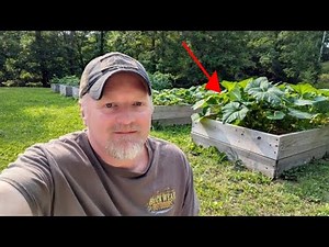 Haters Type, I Harvest: Cheap Home-Grown Food Tour