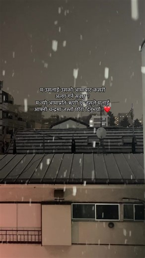 original sound - ivy.oceanを使っているStealer (@steal_er)の動画