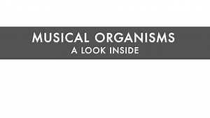 Evo Devo Music Explanatory Animation: A Look Inside a Musical Organism
