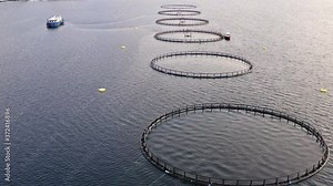 Salmon fish farming in Norway sea. Food industry, traditional craft production, environmental conservation. Aerial view of round mesh for growing and catching fish in arctic water surrounded by fjords