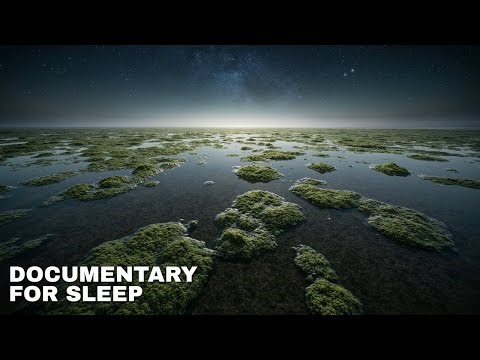The Great Oxygen Catastrophe: When Earth’s Air Nearly Ended Life | Documentary for Sleep