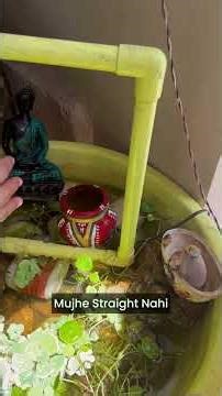 DIY PVC Fountain with Water Plants | Easy Garden Water Feature#shorts