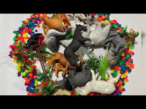 The Ultimate Animal Kingdom Reveal! 🐘 Jungle & Farm Collection DIY