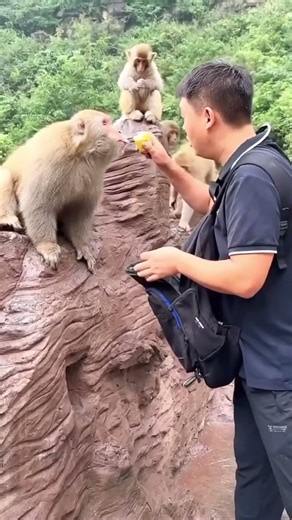 The Alpha male and me