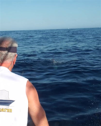 1K views | Sport Fishing Championship on Reels | Facebook