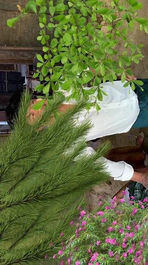 mg lwin (@mg.lwin069)’s videos with original sound - 𝙞 𝙗 𝙧 𝙖 𝙝 𝙞 𝙢 🎧