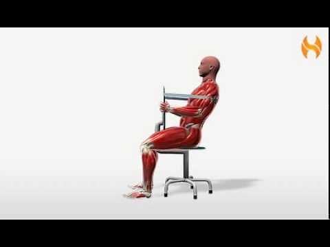 Exercise Videos- Band Seated Trunk Extension