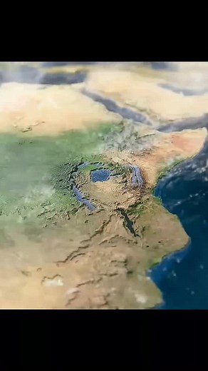 The little zebra’s first real challenge has arrived.#wildlife #animals #shorts #video | The.wildreel