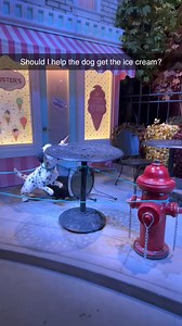 7.1K views · 16 reactions | Can Dogs Eat Ice Cream?  | Watchyourhaircut | Facebook