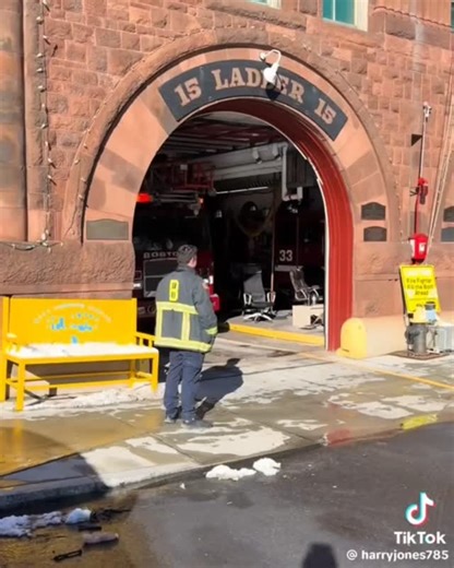 @lightsandfiretrucks Boston Fire Ladder 15 and Engine 33. Video credit @harryjones785 on TokTok. #BostonFire #bostonfire #bostonfiredept #bostonfiretrucks #bostonfirehouses bostonfirefighters bostonfiredepartment firedepartment firedepartments firedepartmentlife firedepartment🔥🚒 firetruck firetrucksdaily firetrucksofamerica firetrucksofinstagram firefighter firefighterlife firefighterposts firefighterfamily firefighterposts firstresponders fireengine laddertruck truckcompany firehouse boston f