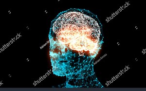 【公开课】杜克大学 大脑与空间 第一章 The Brain and Space (Module One)