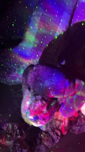 I love this songgggg #essa #essacommunity #space #rainbow