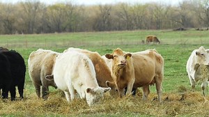 15K views · 657 reactions | Give them what they want, right where they want it. TipsNotebook shows you the skills and equipment you need to manage your hay. | John Deere | Facebook