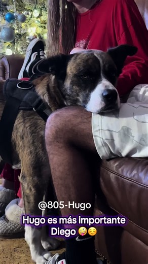 #LIVEIncentiveProgram #Hugo #LIVEIncentiveProgram #LIVEIsEasy #PaidPartnership