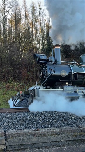 Loco No.1 out in the wintry sunshine on a private charter today..... | Brecon Mountain Railway Co. Ltd