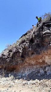 2.5M views · 10K reactions | Shepherds Jump.. #facts #factsdaily #FactsMatter #amazingfactshindi #factsyoudidntknow | Shut up Shifu | Facebook