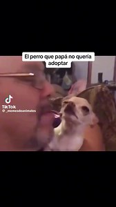 26K views · 1.1K reactions | How do I know dogs love to be kissed and...