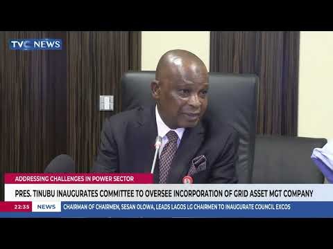 Pres. Tinubu Inaugurates Committee To Oversee Incorporation Of Grid Asset Mgt Company