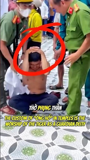 Ông Hổ in Vietnamese Temples: Sacred Tiger Rituals Distorted Today #shortvideo