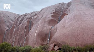 Waterfalls have formed on Uluru 🌧️ Higher-than-average rainfall causes strong water streams to flow down Uluru's waterfalls, which are usually dormant. 📽Geigbe_the_Van 📰For more from News: https://bit.ly/DarwinNews 📻For more from Radio: https://bit.ly/DarwinRadioLive | ABC Darwin
