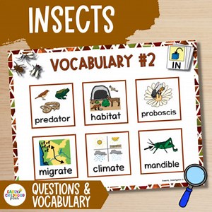 Insects Study | Investigation Questions & Vocabulary for The Creative Curriculum