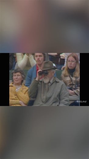 When John McEnroe first burst onto the tennis scene in the late 1970s, his unorthodox style of play and fiery personality quickly made him one of the most captivating and controversial figures the sport had ever seen.“Gods of Tennis” features unforgettable archives and exclusive interviews with the greatest tennis players to have ever graced Center Court. Stream the whole 3-part series now on our YouTube channel!#johnmcenroe #bjornborg #tennis #wimbledon #arthurashe #billiejeanking | TVO Docs