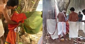 ആലും ആര്യവേപ്പും വിവാഹിതരായി; കല്യാണം ആഘോഷമാക്കി നാട്ടുകാർ, ഗംഭീര സദ്യയും