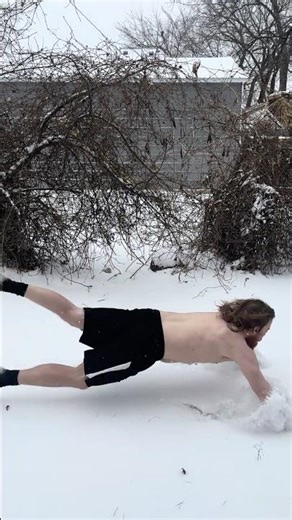 Dolphin Dive in the SNOW!