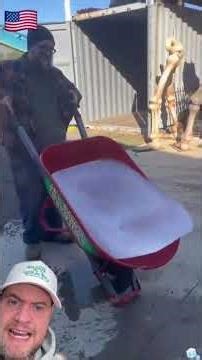 THE FIREWORK UNDER THE ICE 🤯 #shorts