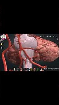 Blood Supply to the Brainstem | 3D Anatomy Tutorial