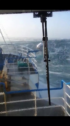 When you are good at your job 😄 #fishing #rough #weather #fyp #crab
