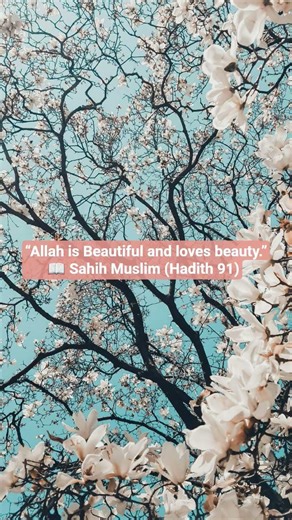 “Allah is Beautiful and loves beauty.” (Muslim)#Hadith #IslamicPost #Beauty #AllahLovesBeauty #Faith