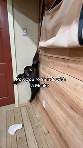 10K views · 251 reactions | Myrtle Beach Safari Wild Encounters Tour on Reels | Facebook