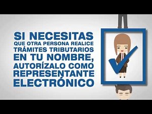 No entregue su clave, autorice a un representante electrónico en sii.cl