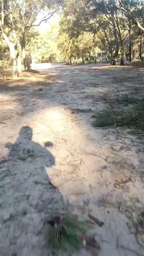 conoces este parque ?