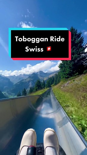 Tobogganing in Swiss was fun ! #switzerland🇨🇭 #swissbeautiful