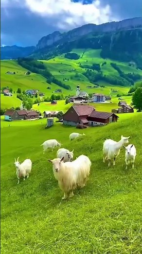 The Most Serene Natural Landscapes Ever