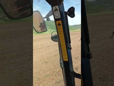 Πως σπέρνω φασόλια