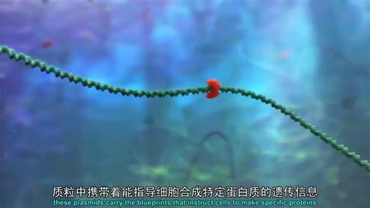 1.【高二生物动画】1.1 基因工程概述(Av540318087,P1)