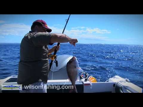 How to Catch Big Snapper