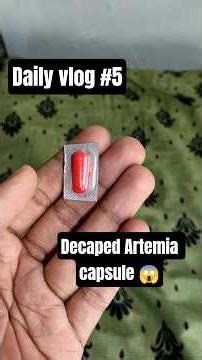 Decaped Artemia capsule feeding for our Guppies 😱 #shorts #vlogs #dailyvlog #shortsvlogs #artemia