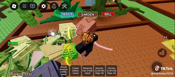 Dragonflies in the Garden: Attracting Nature's Wonder