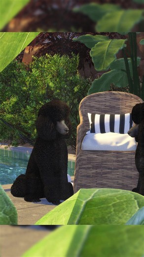 Sundays-Sim Solstice Set for The Sims 4 — New Simwear Dress